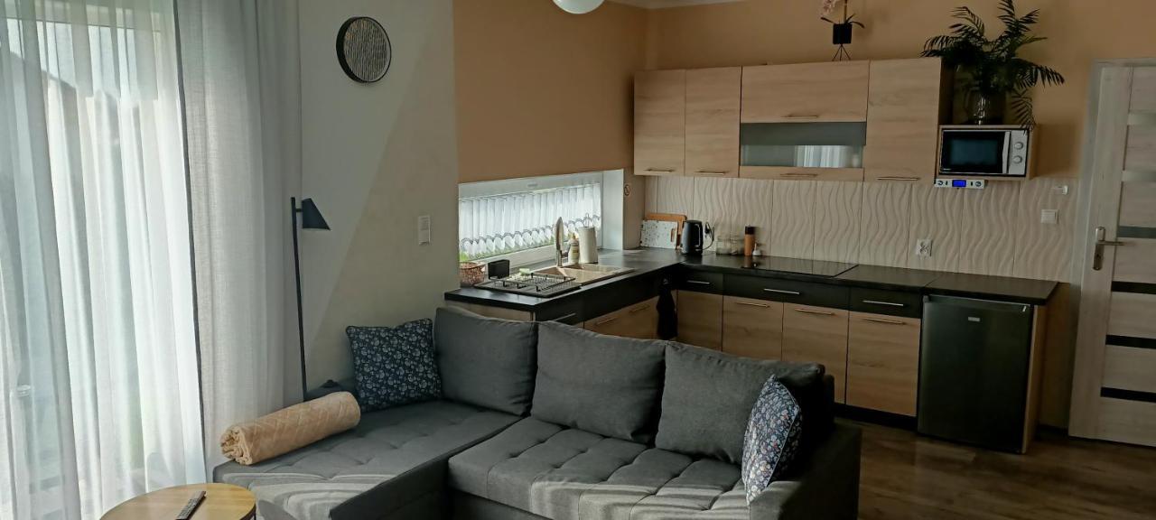 Apartamenty Modrzewiowe Tarasy Хойнице Экстерьер фото